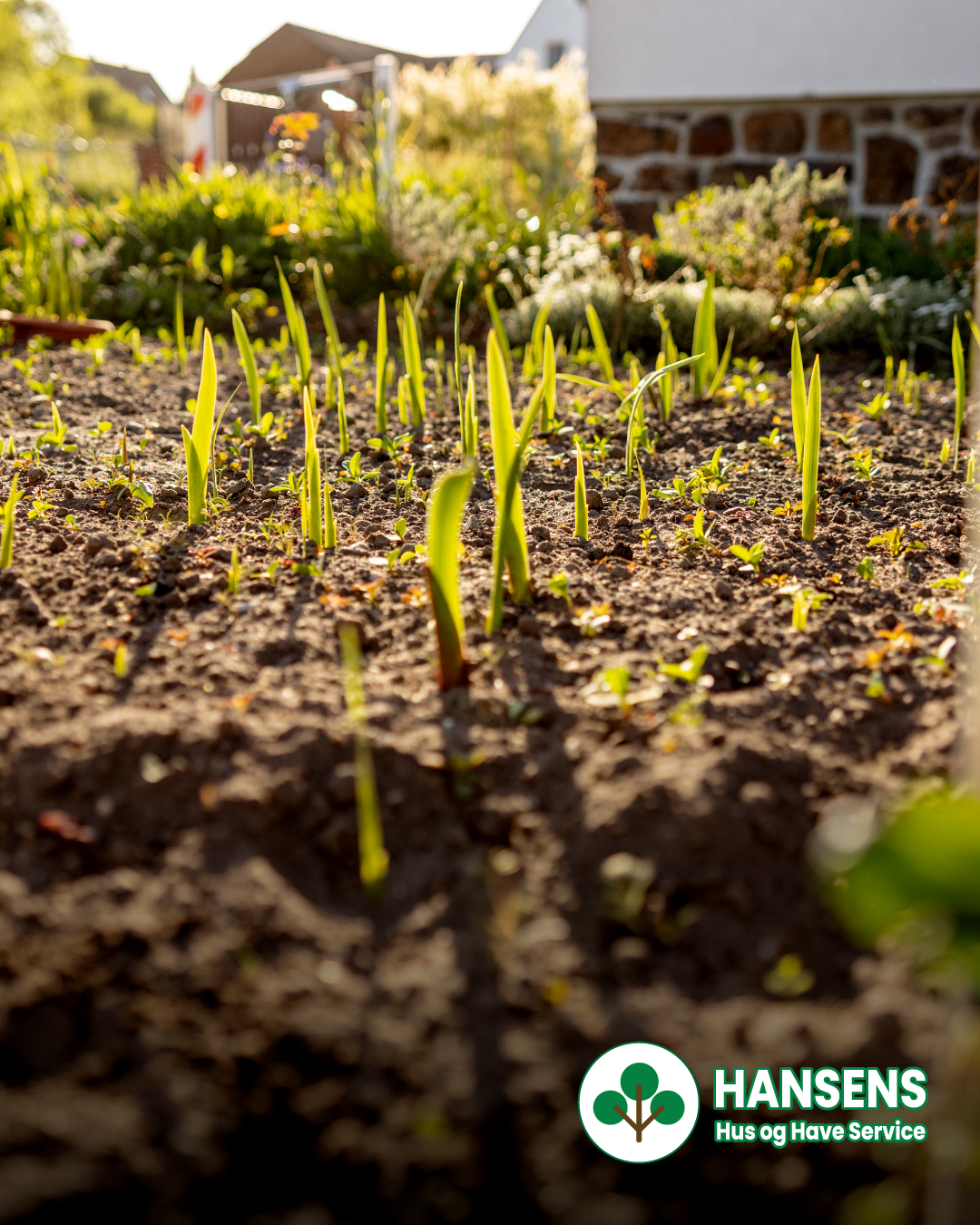 14 Sep Plantningens Gyldne Måned